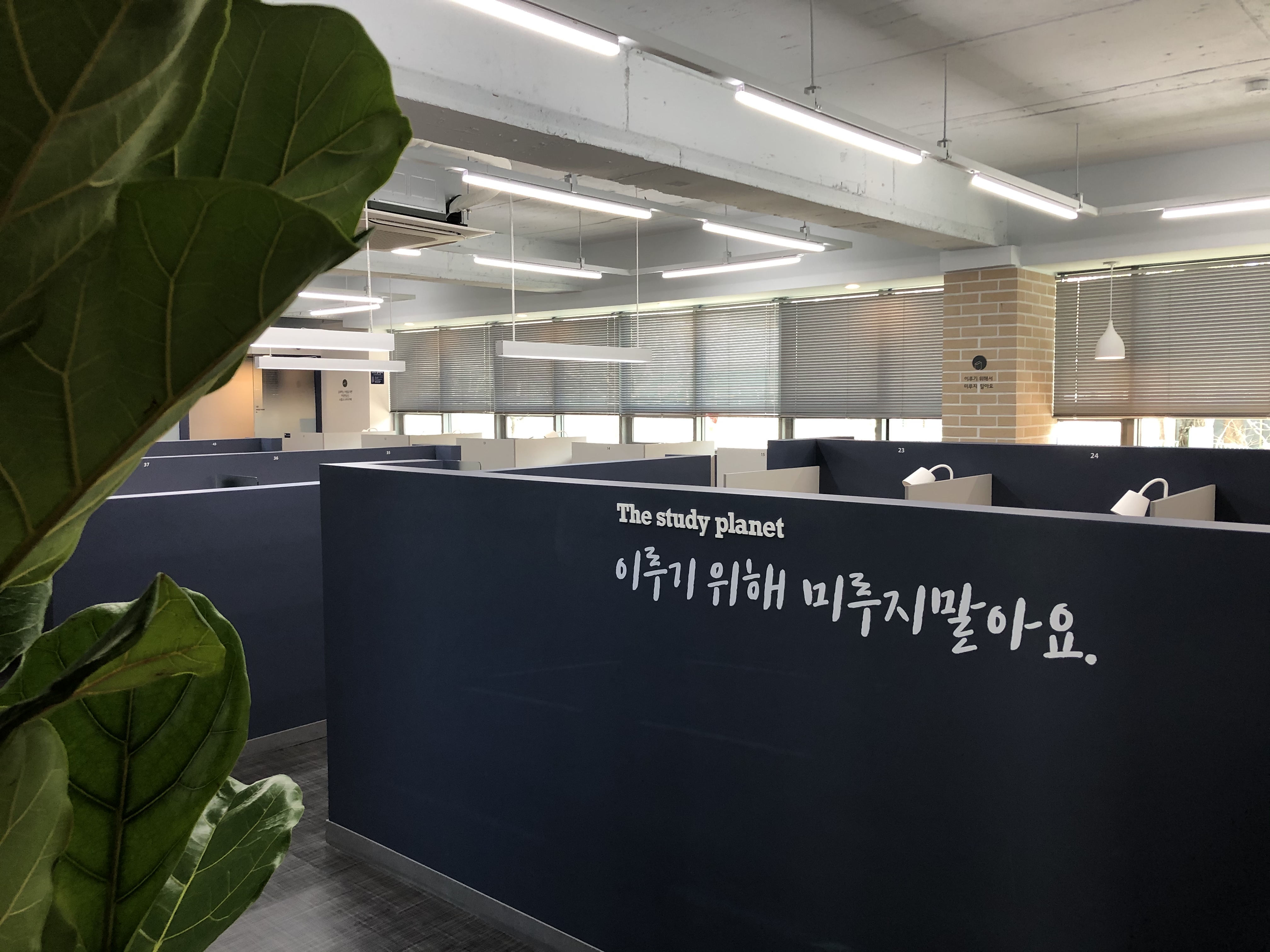 업체사진