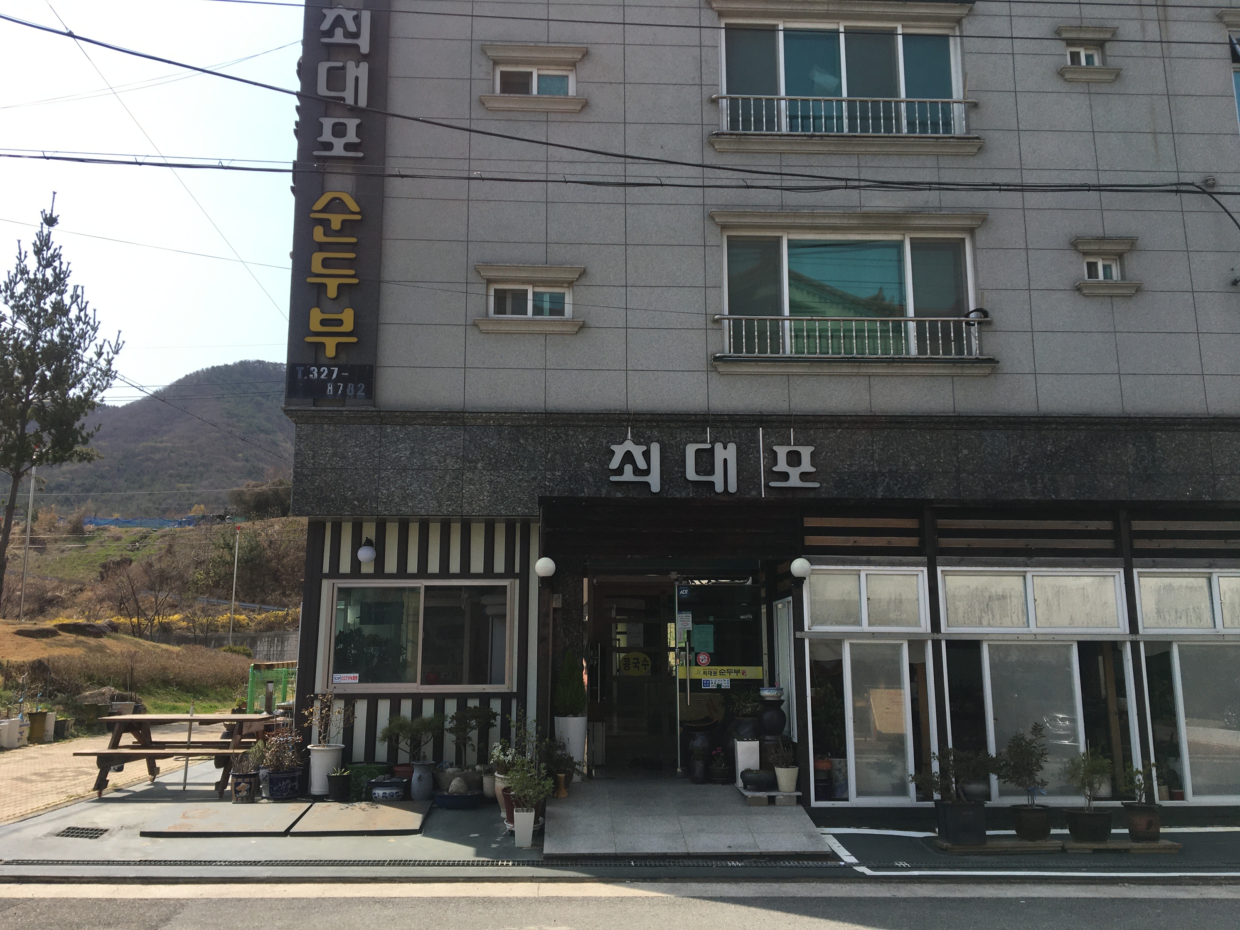 최대포순두부