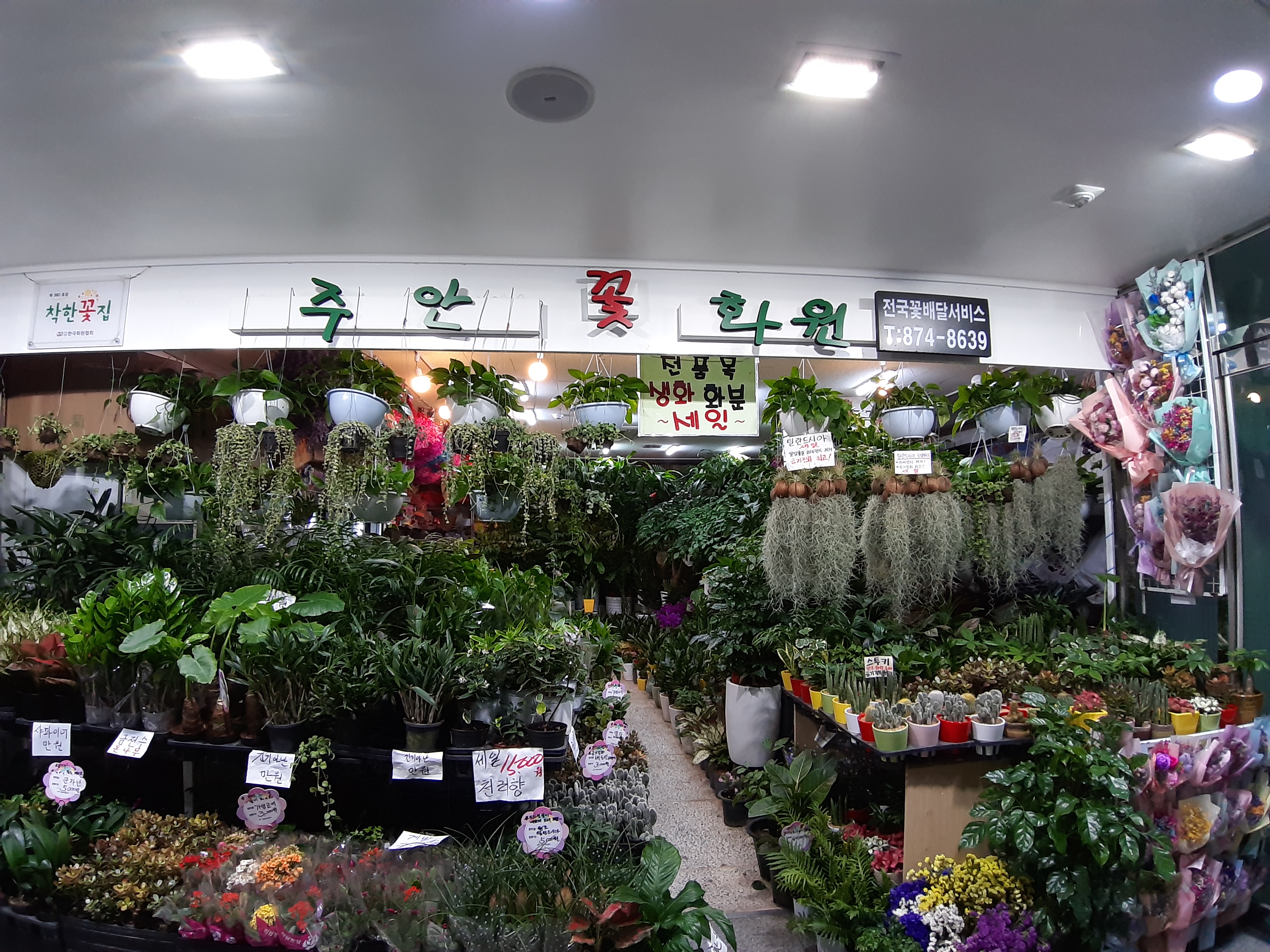 주안꽃화원