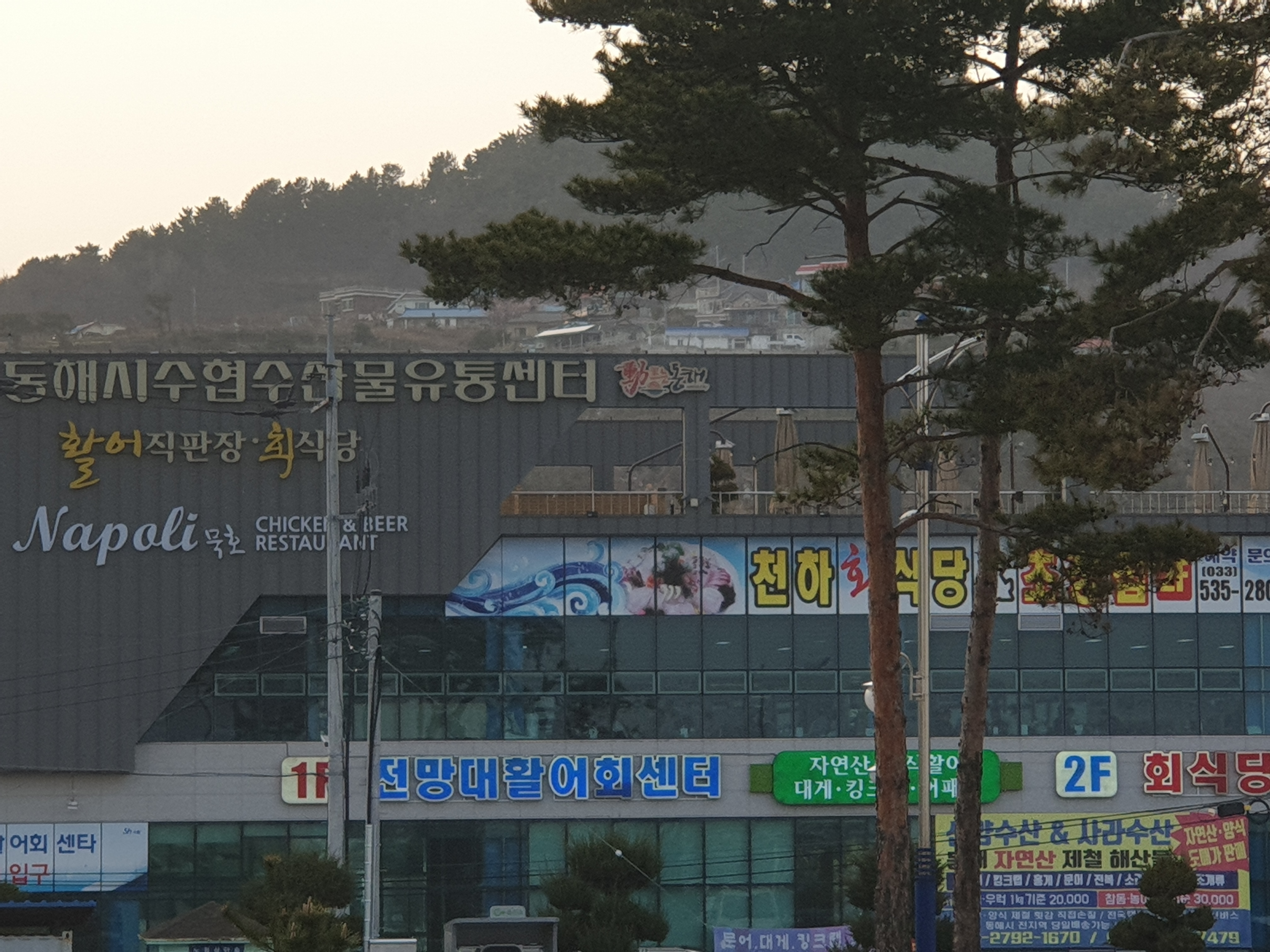 동해시수협수산물유통센터