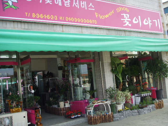 꽃이야기