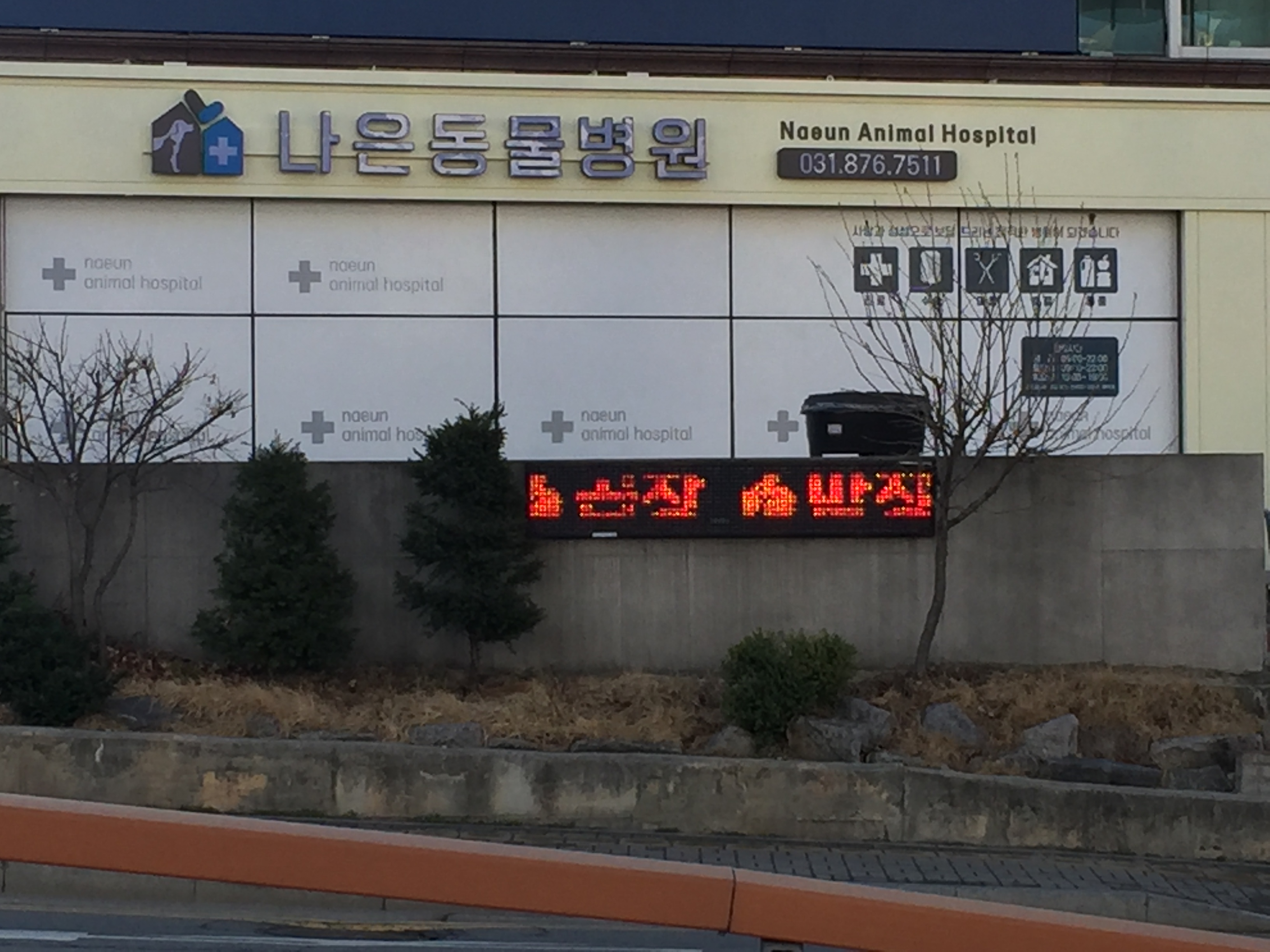나은동물병원 대표 이미지