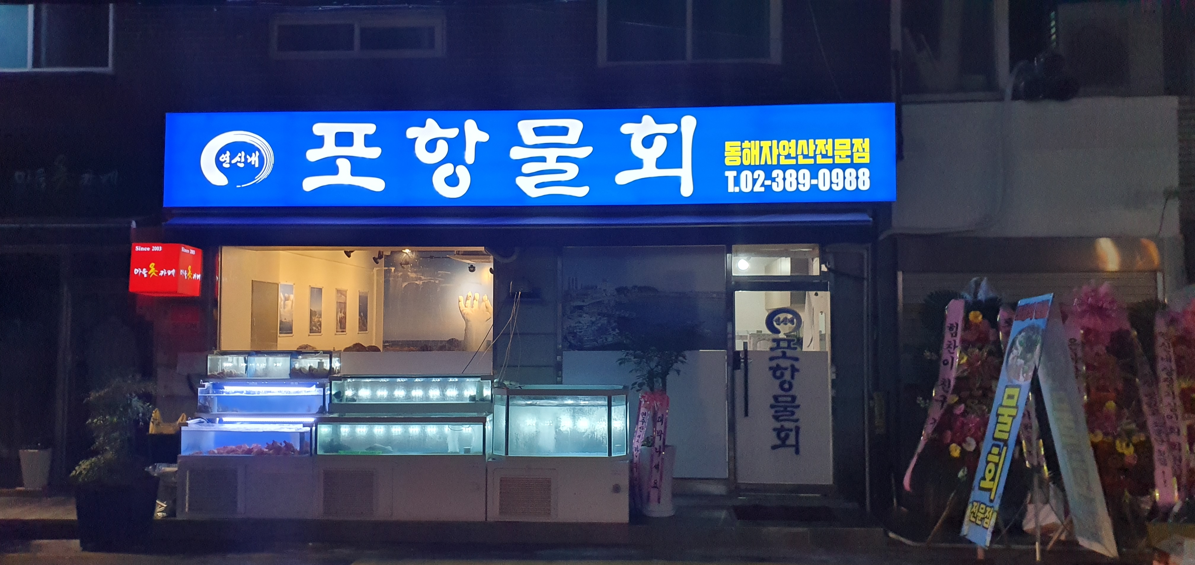 포항물회