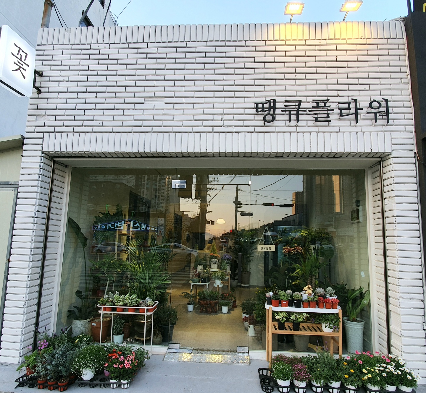 땡큐플라워
