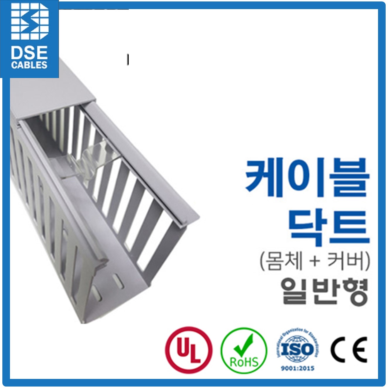 디에스이