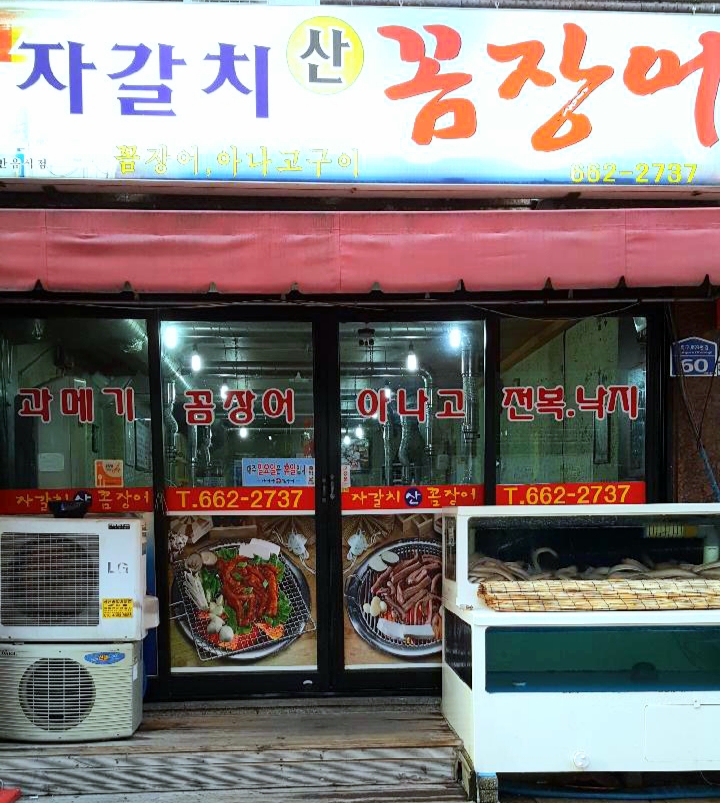 자갈치 산꼼장어