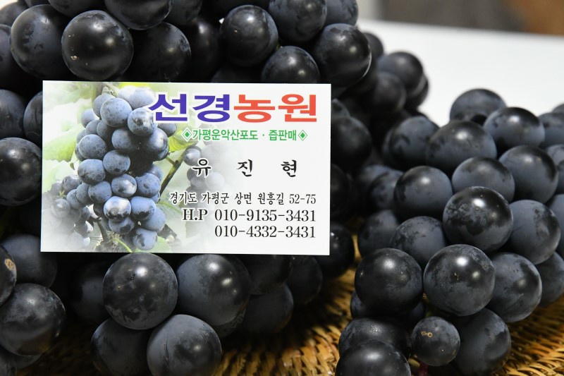 선경농원