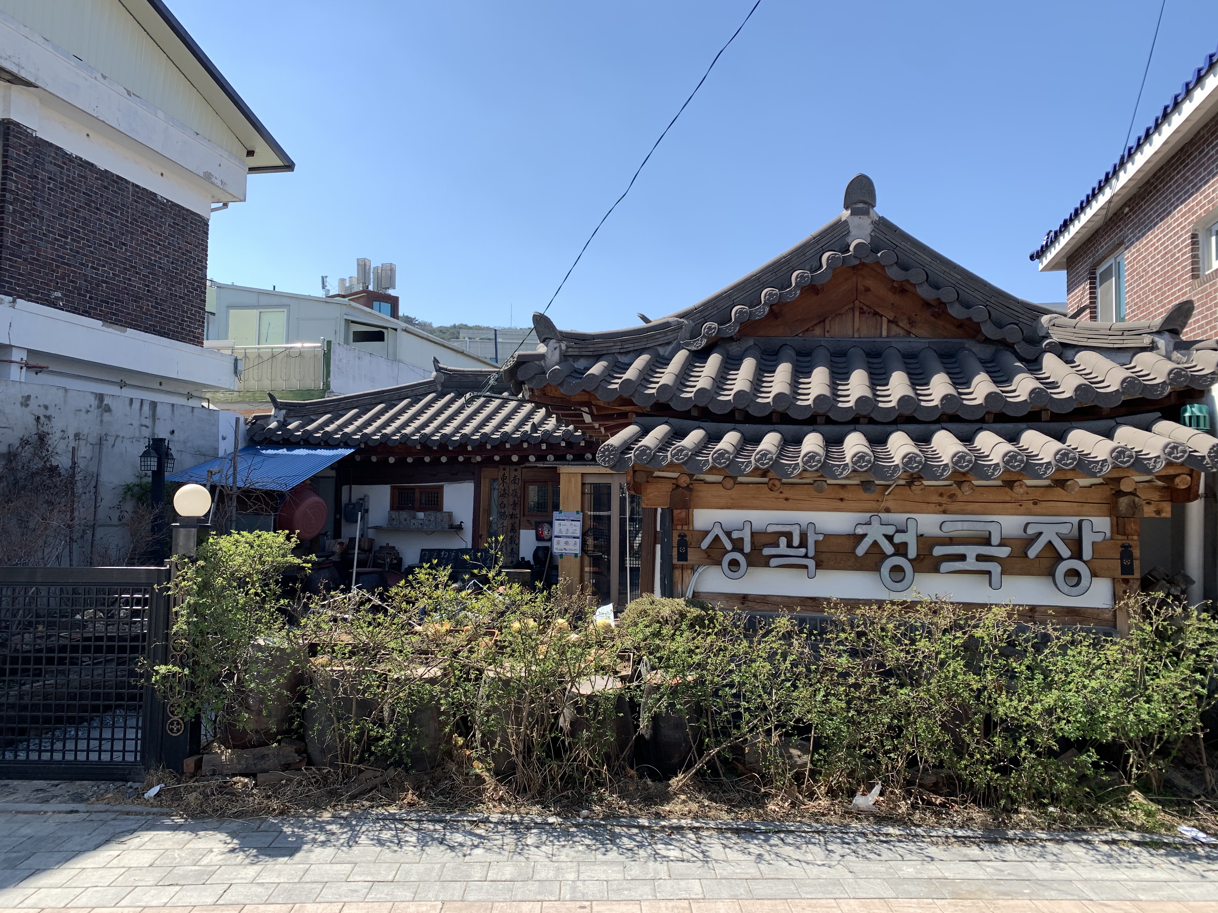 오징어볶음전문점추천 경기 수원시 오징어볶음맛집 소개합니다. 성곽식당