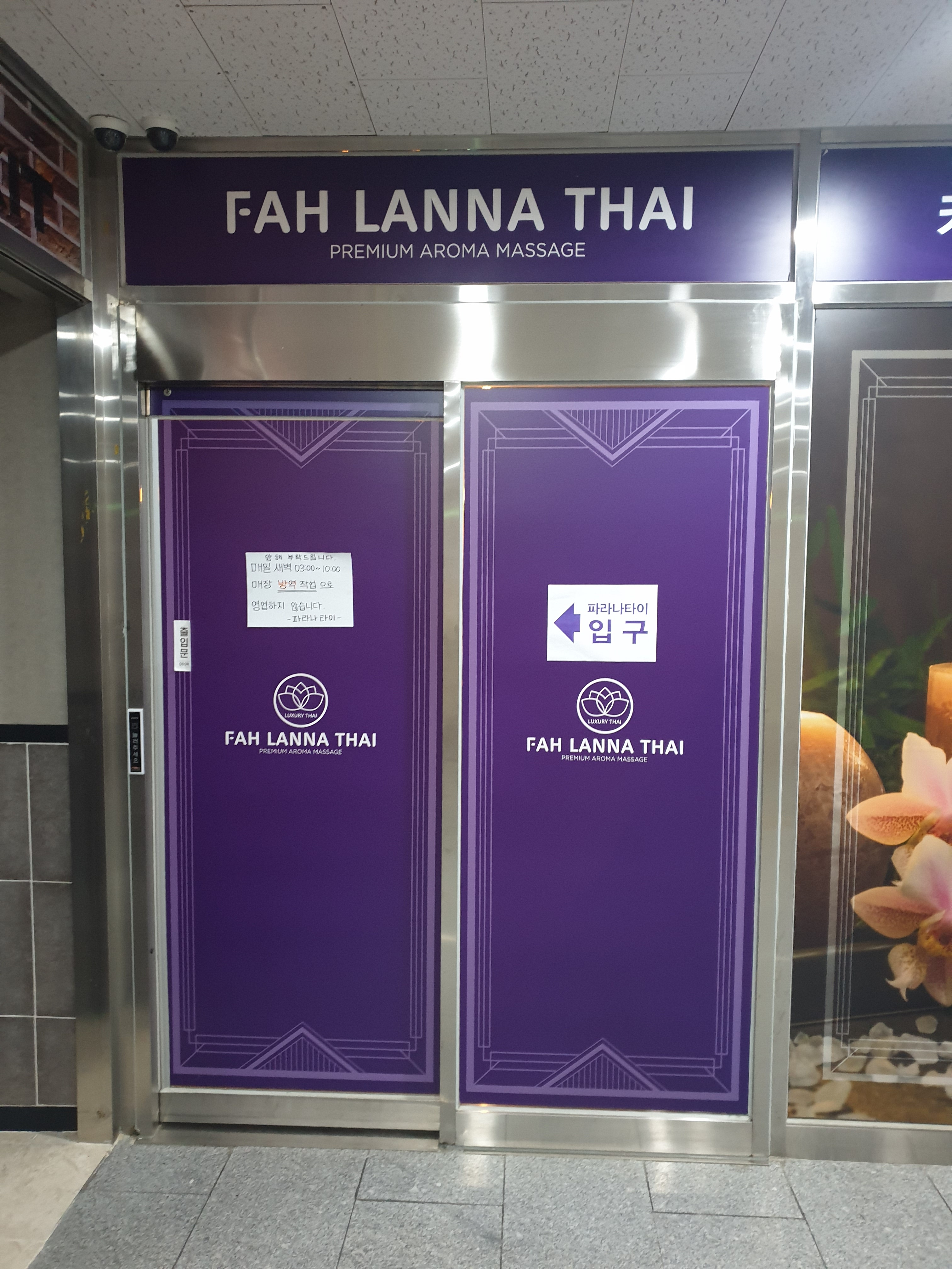 파라나타이 미사 대표 이미지
