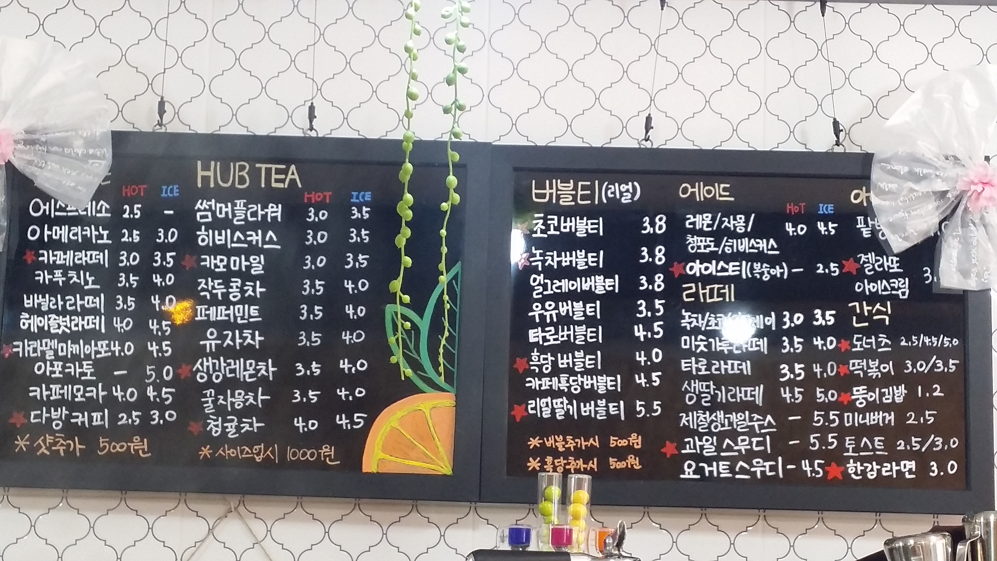 오렌지카페 전라 애견맛집