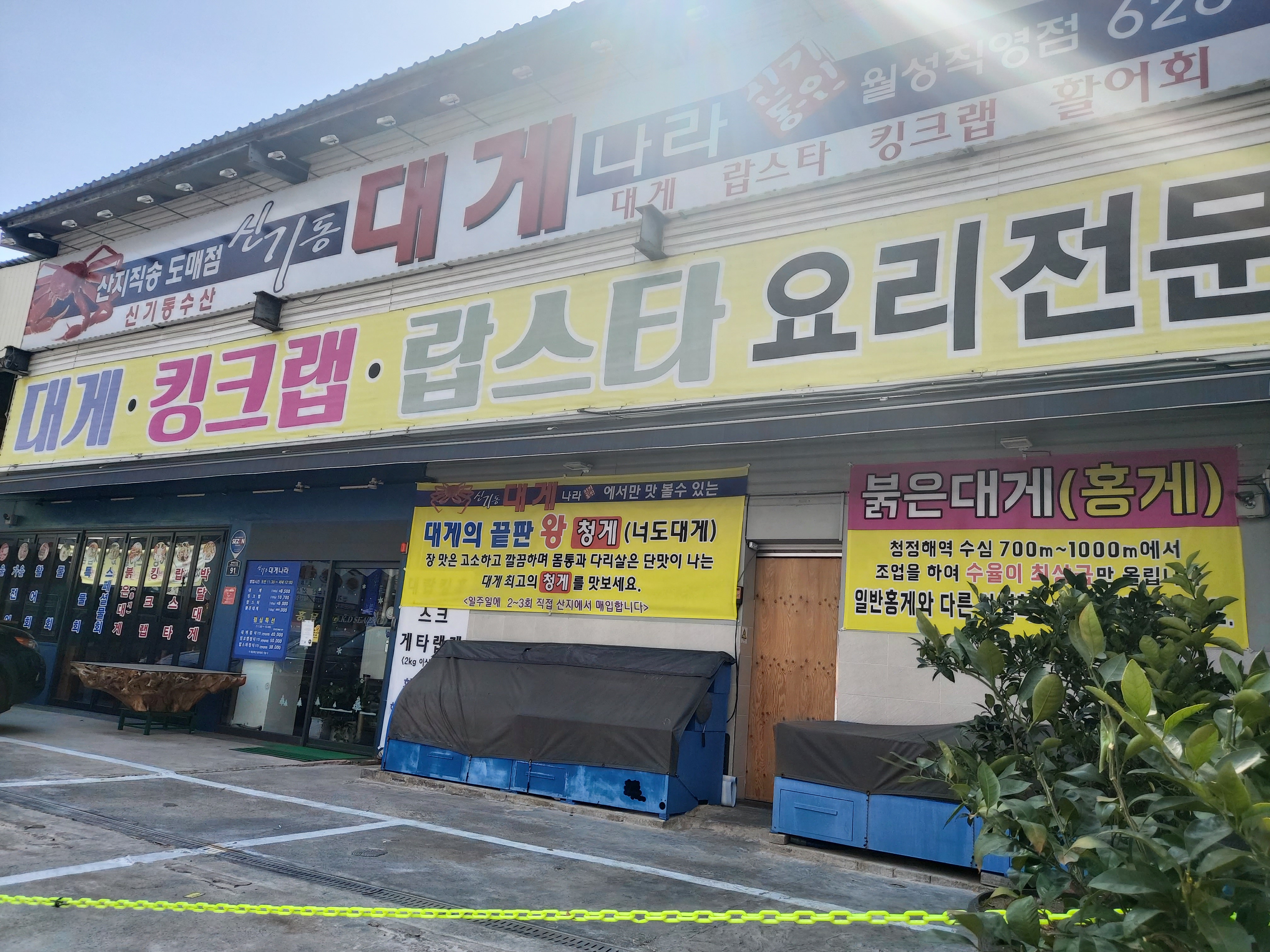 신기동대게나라