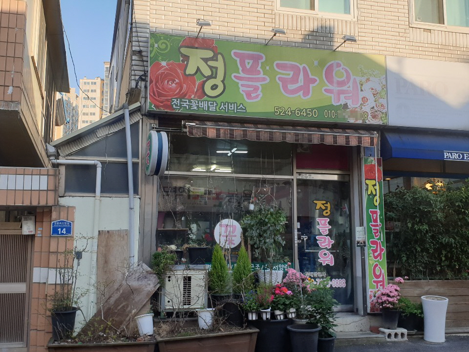정플라워