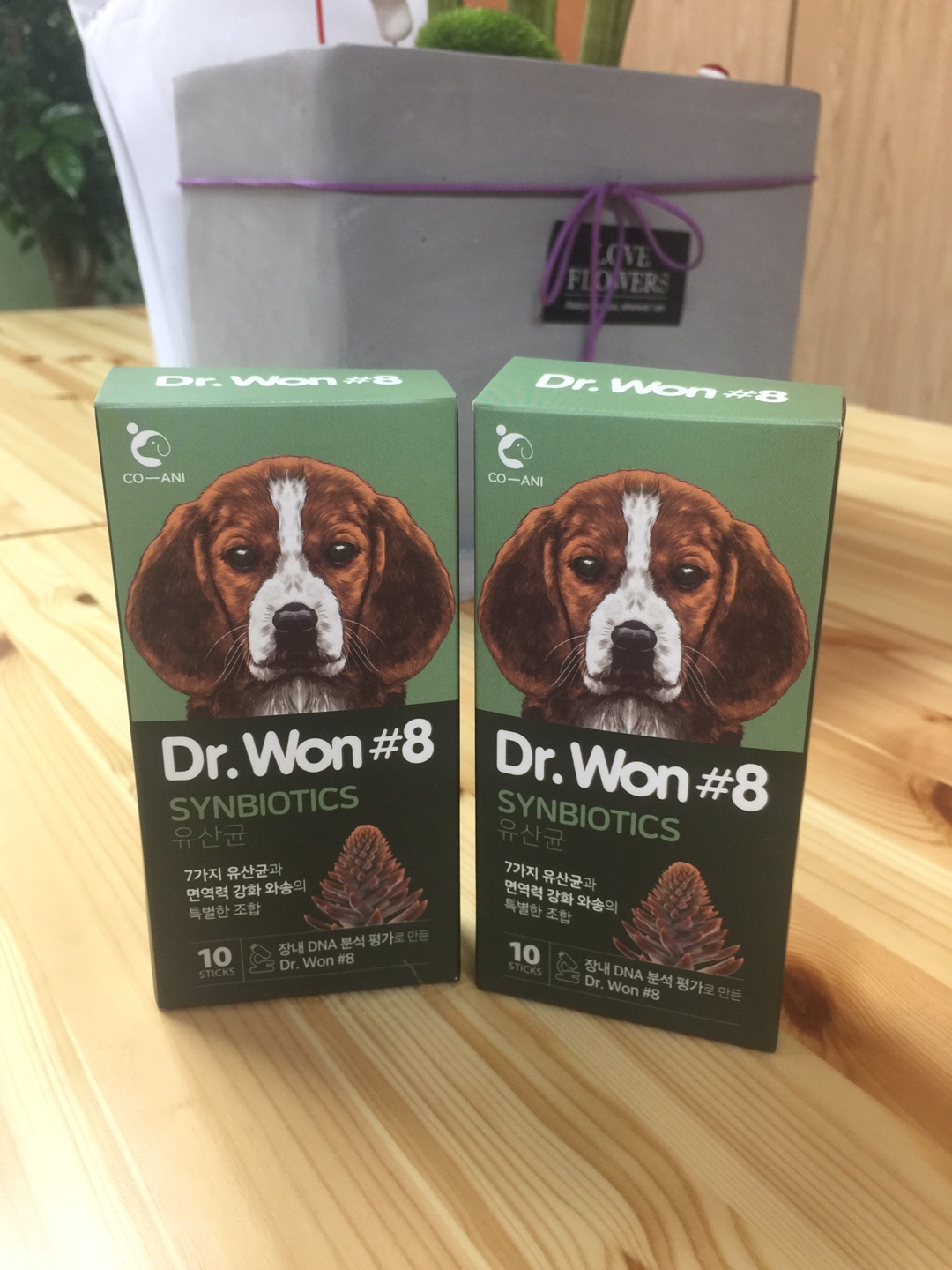 코애니 대표 이미지