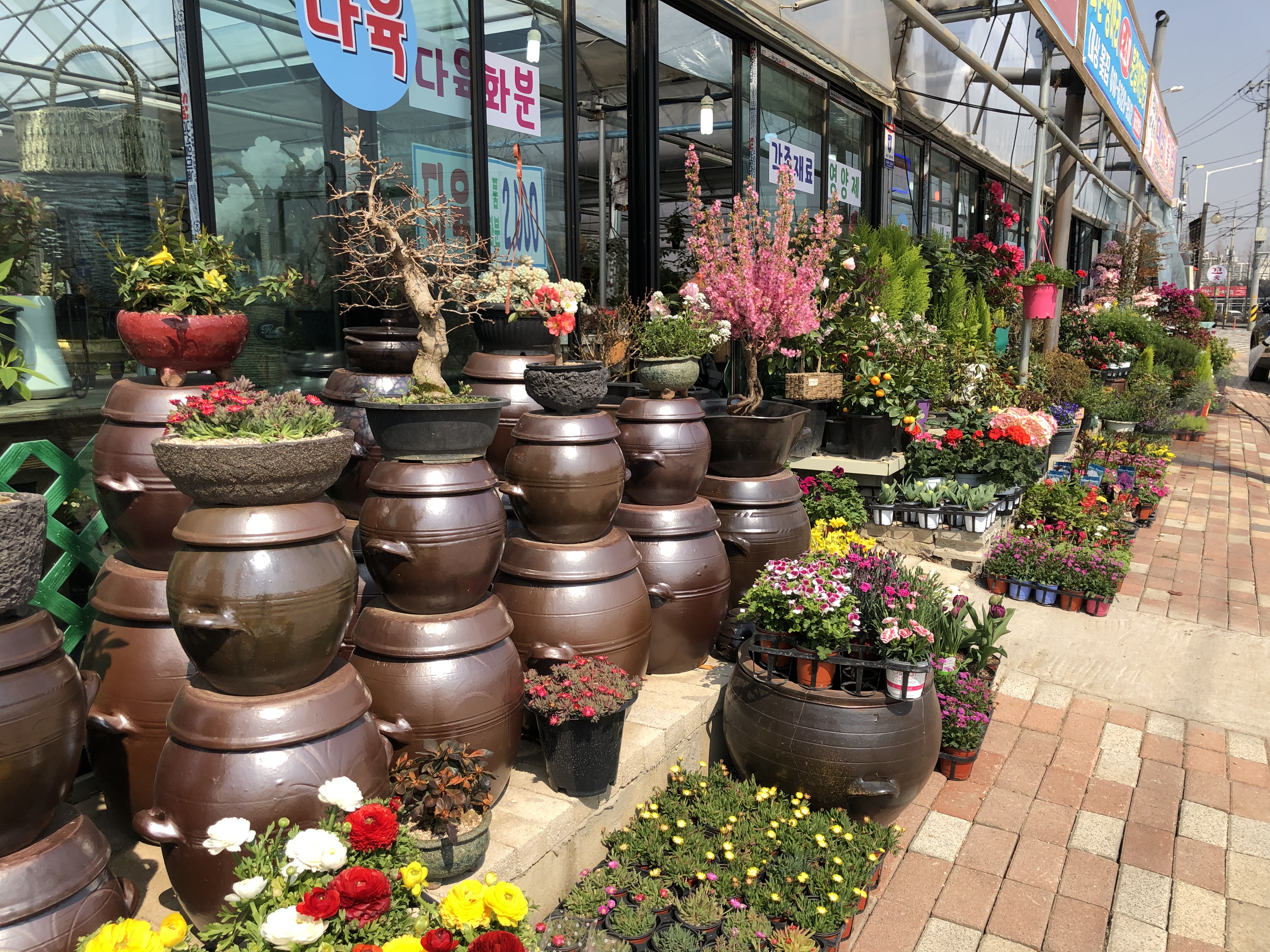 대상꽃집