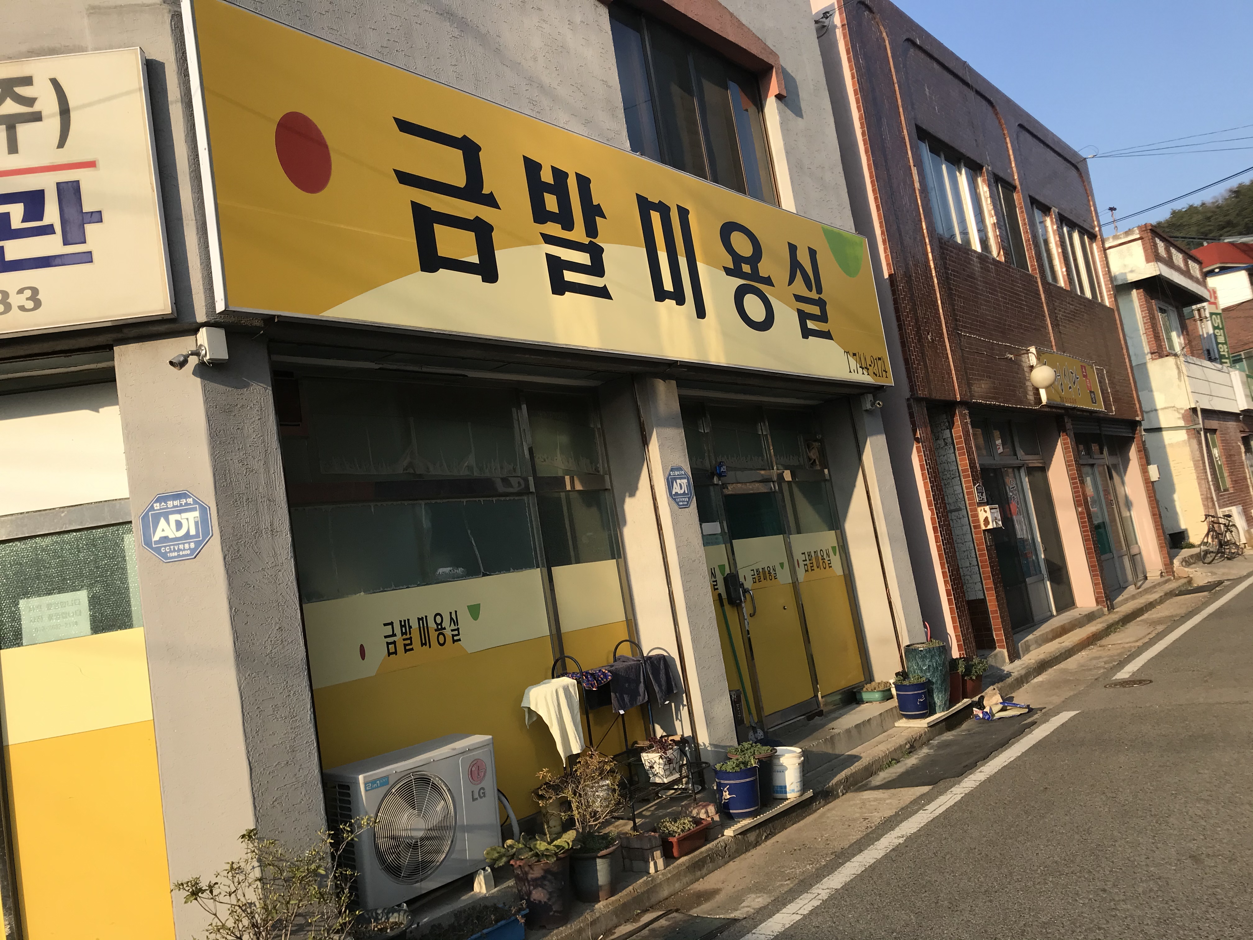 금발미용실 대표 이미지
