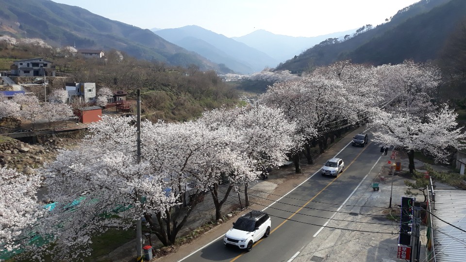 늘봄식당