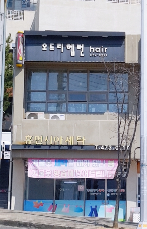 오드리햅번헤어