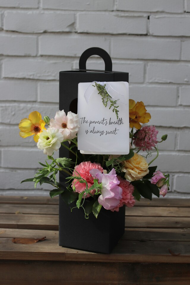 라비타 대표 이미지