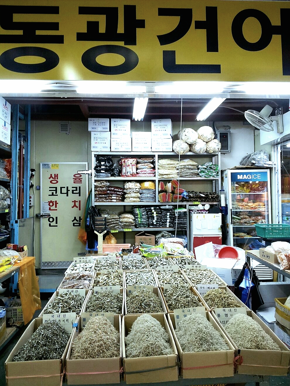 동광건어