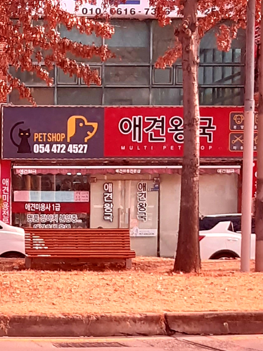 애견왕국
