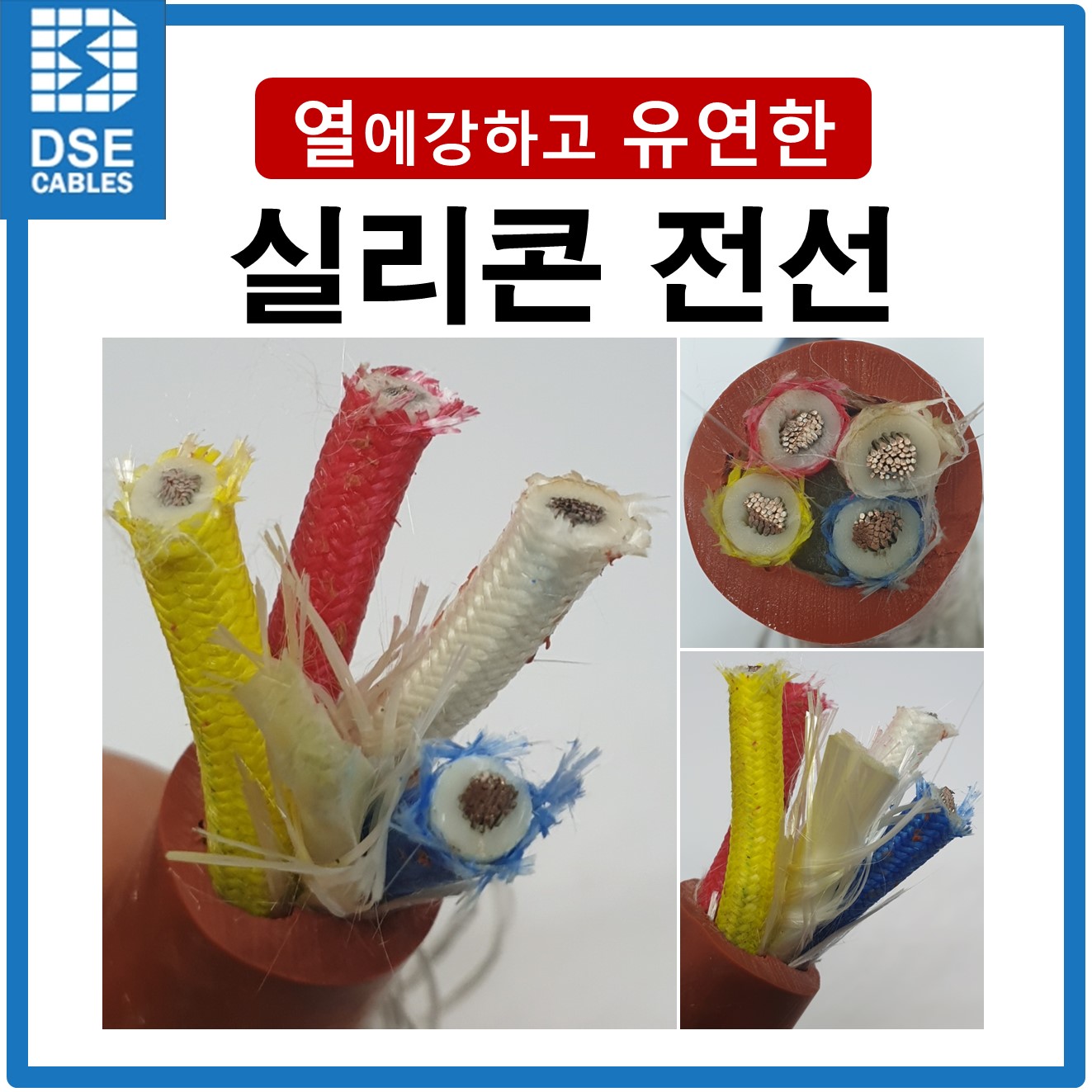 디에스이