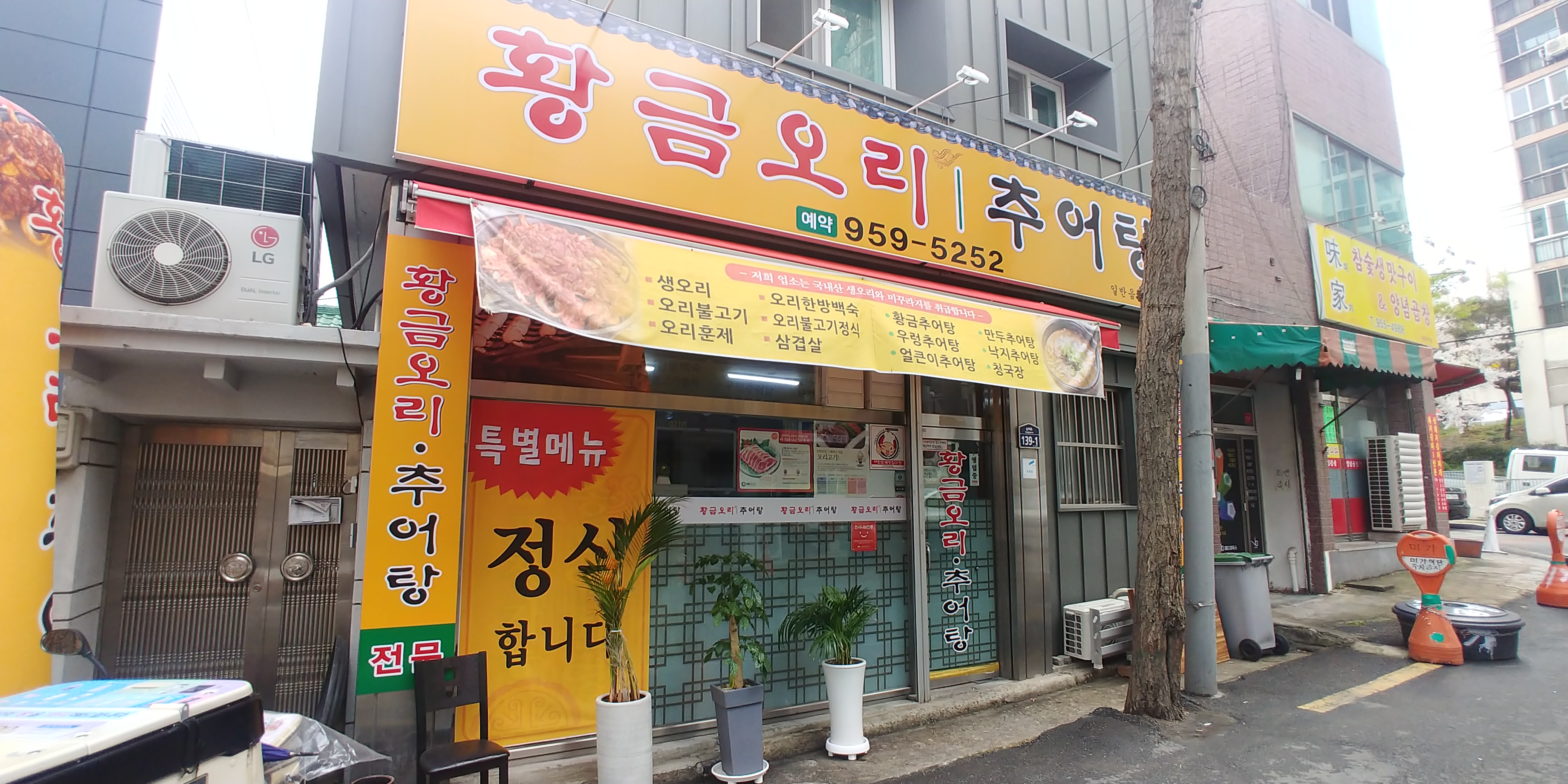 황금오리 대표 이미지