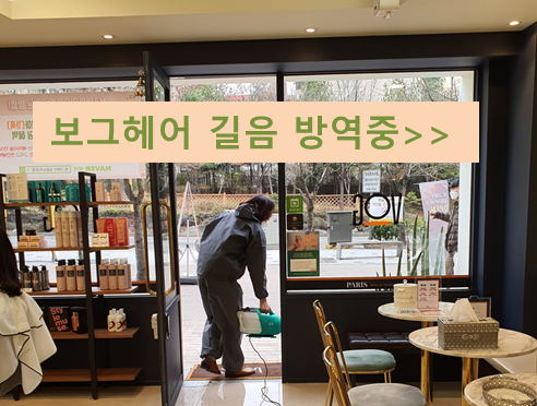 보그