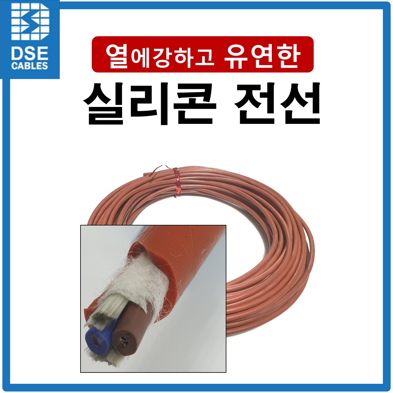 디에스이