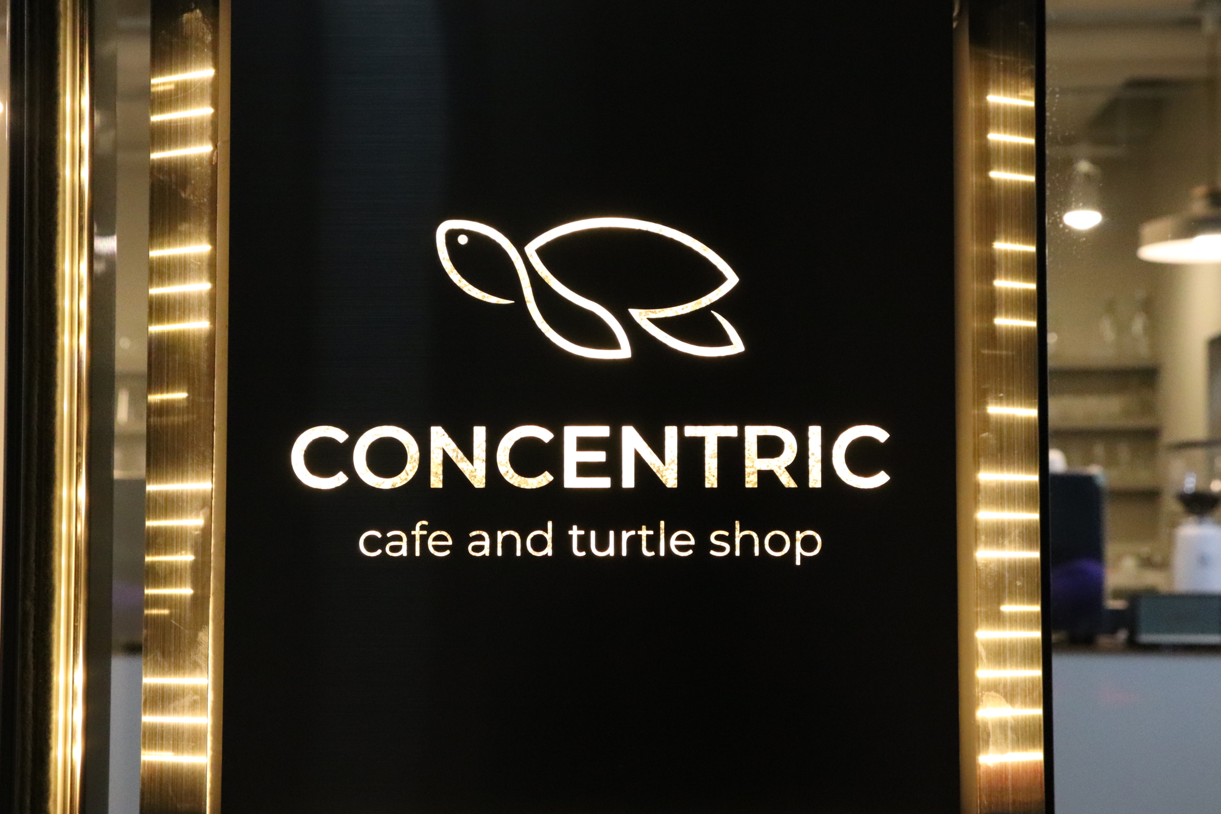 CONCENTRIC