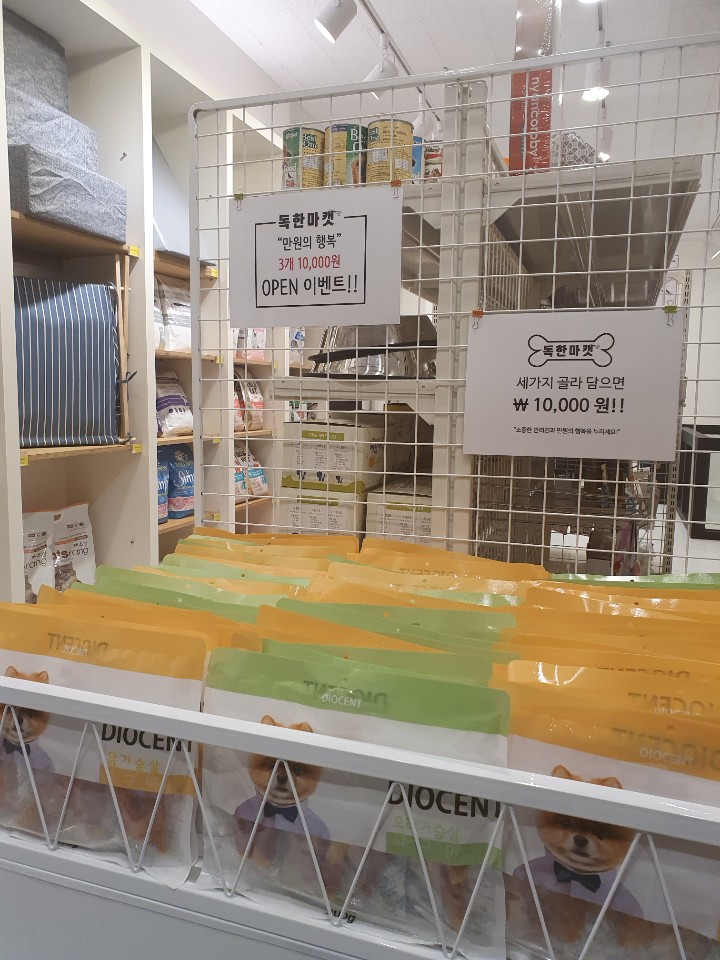 독한마캣 대표 이미지