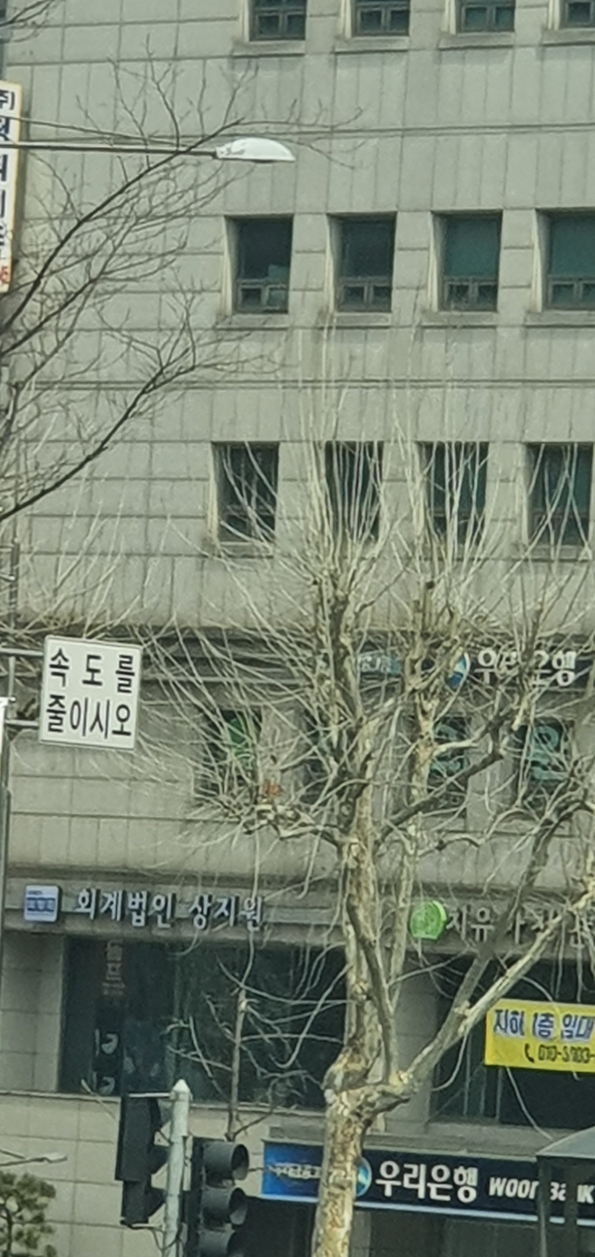 회계법인 상지원 대표 이미지