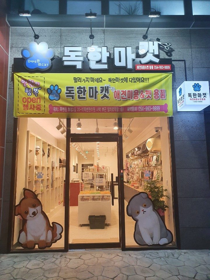독한마캣