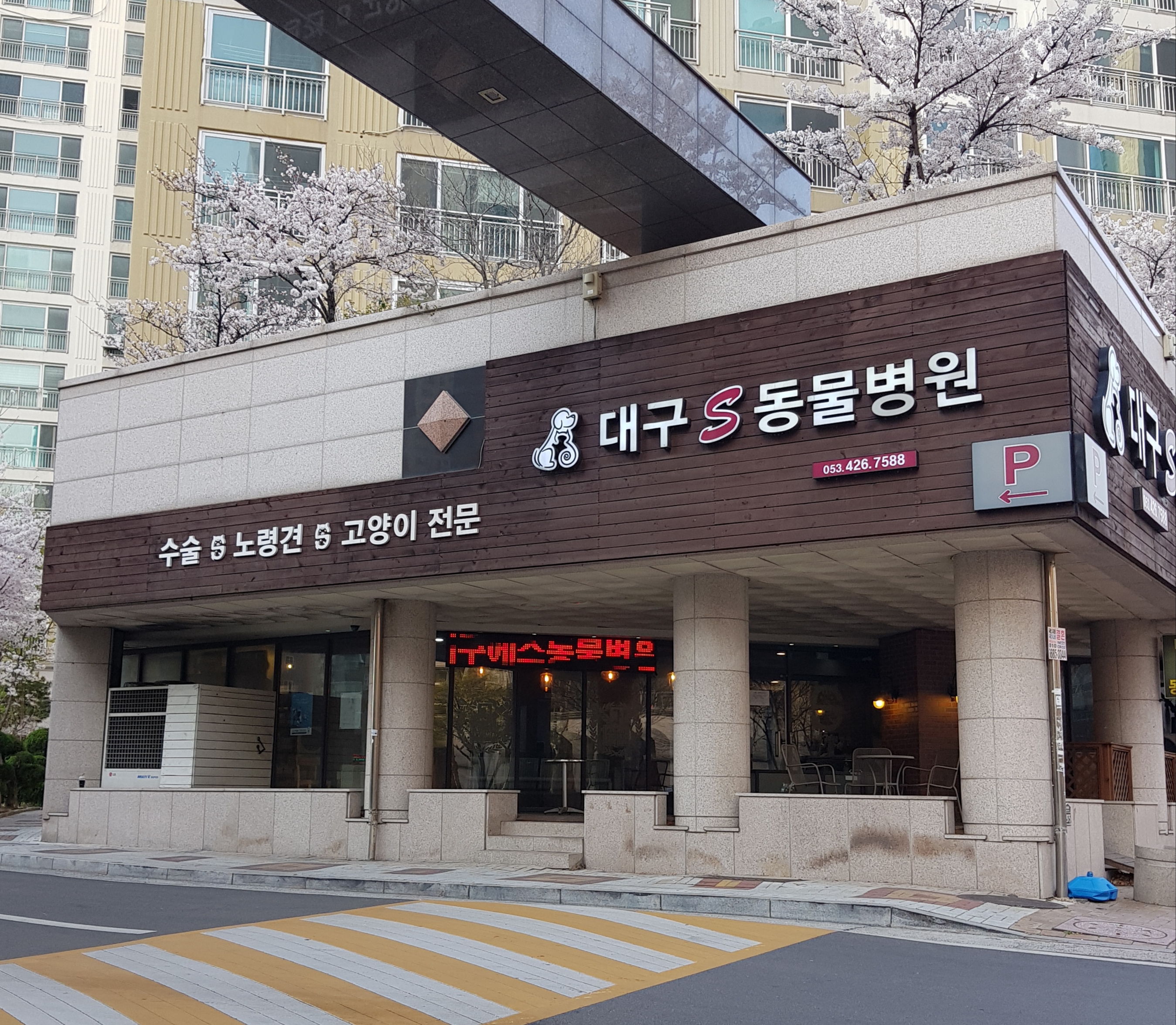 대구S동물병원 대표 이미지