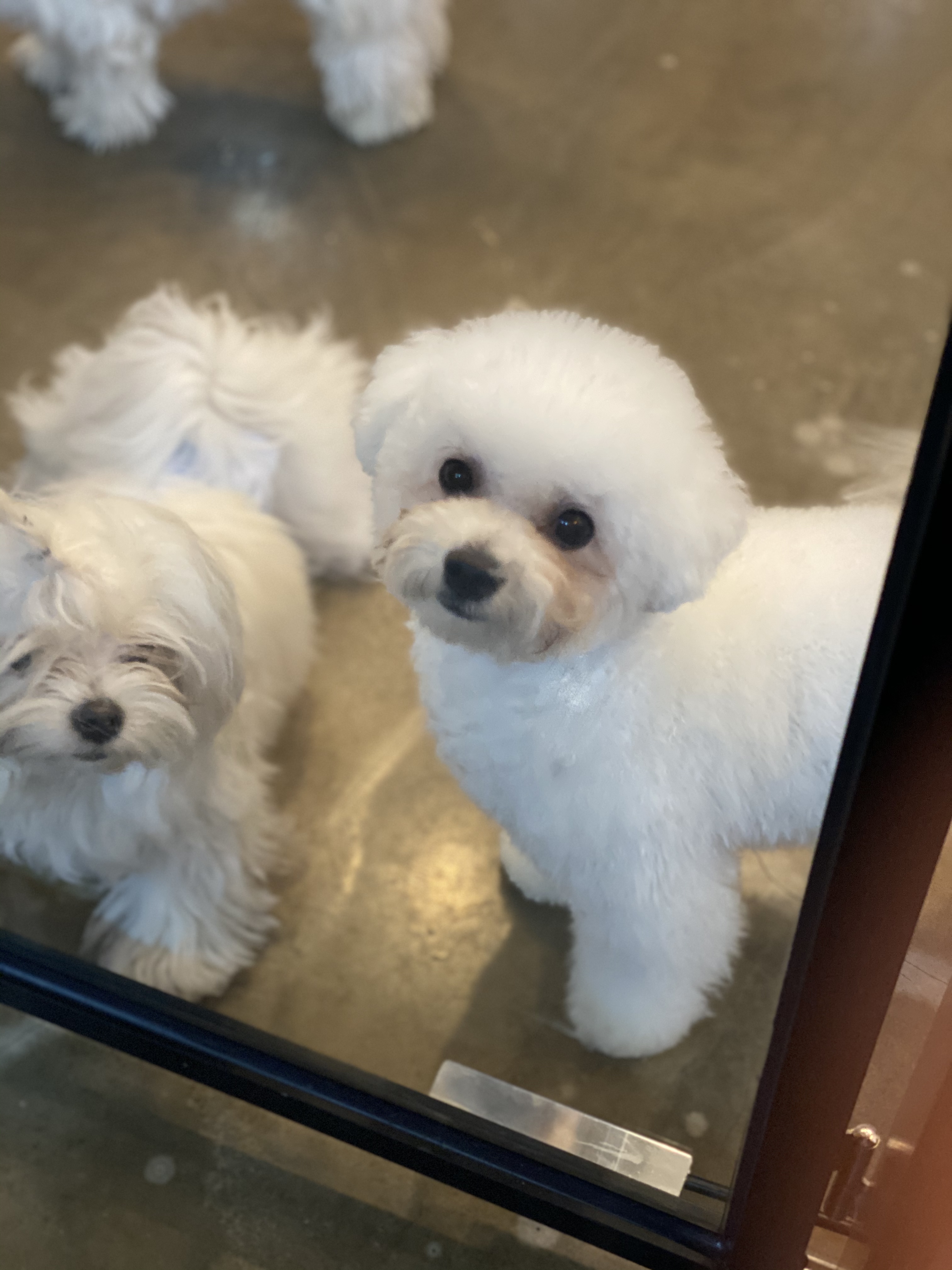 너에개나에개 대표 이미지