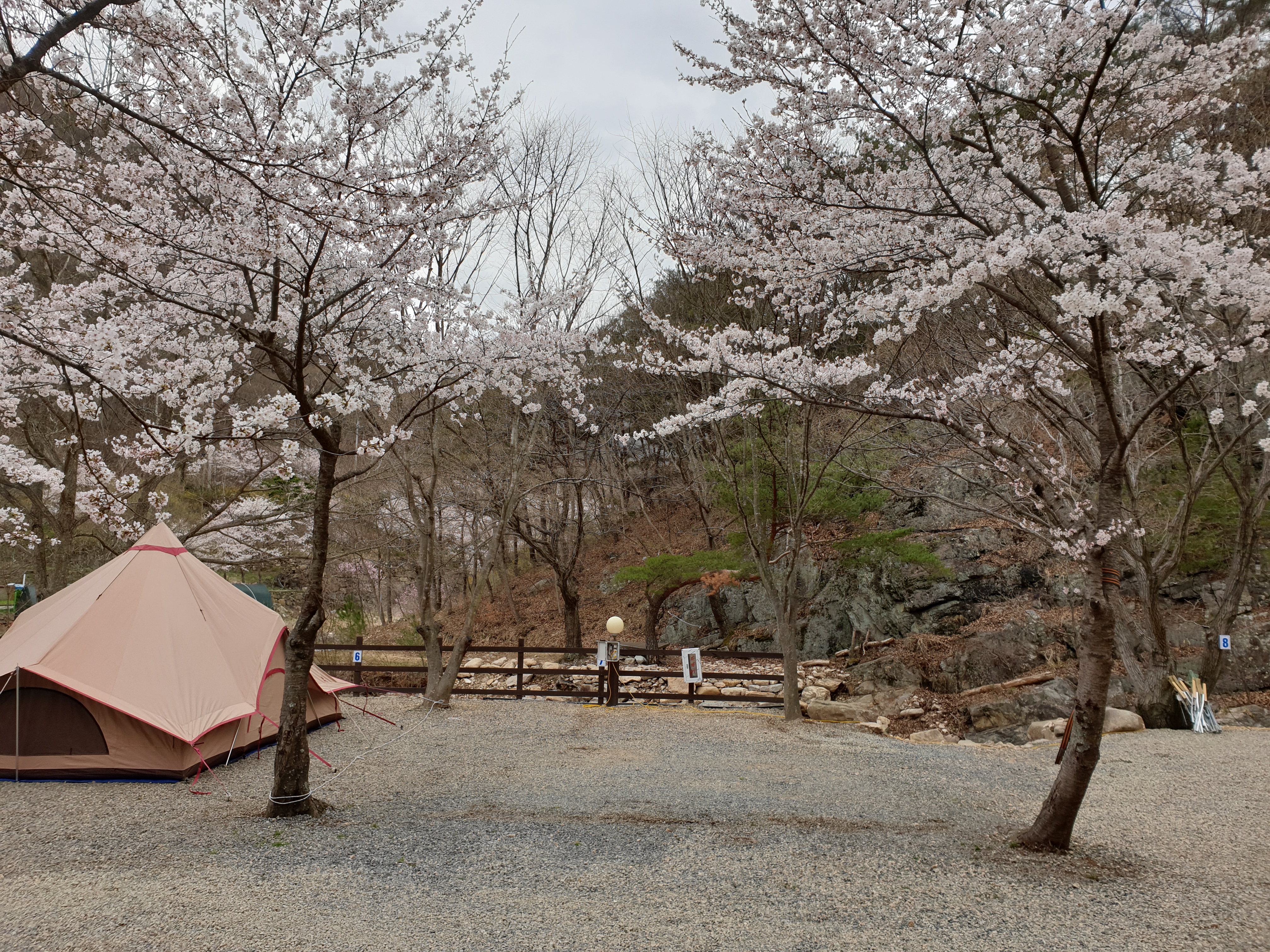 청수가든 캠핑장