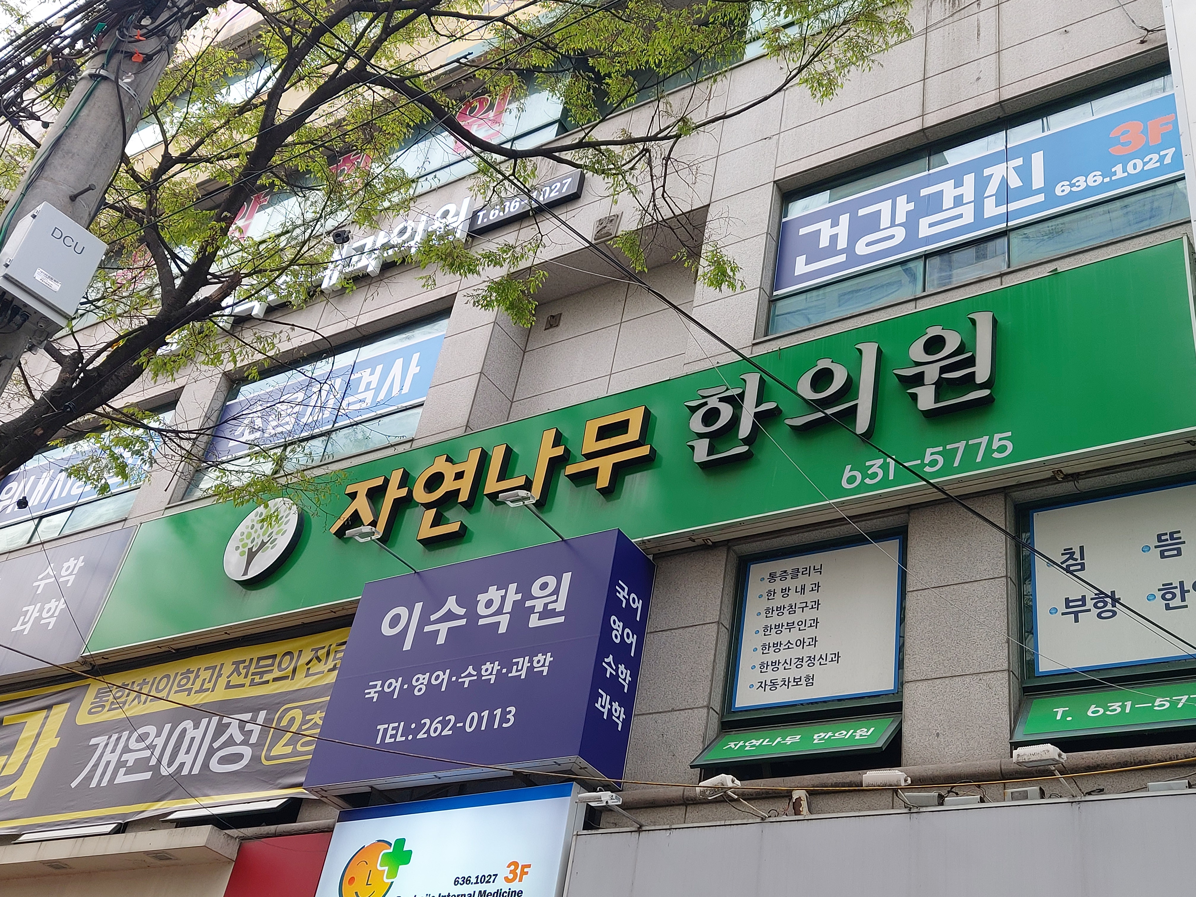 자연나무한의원