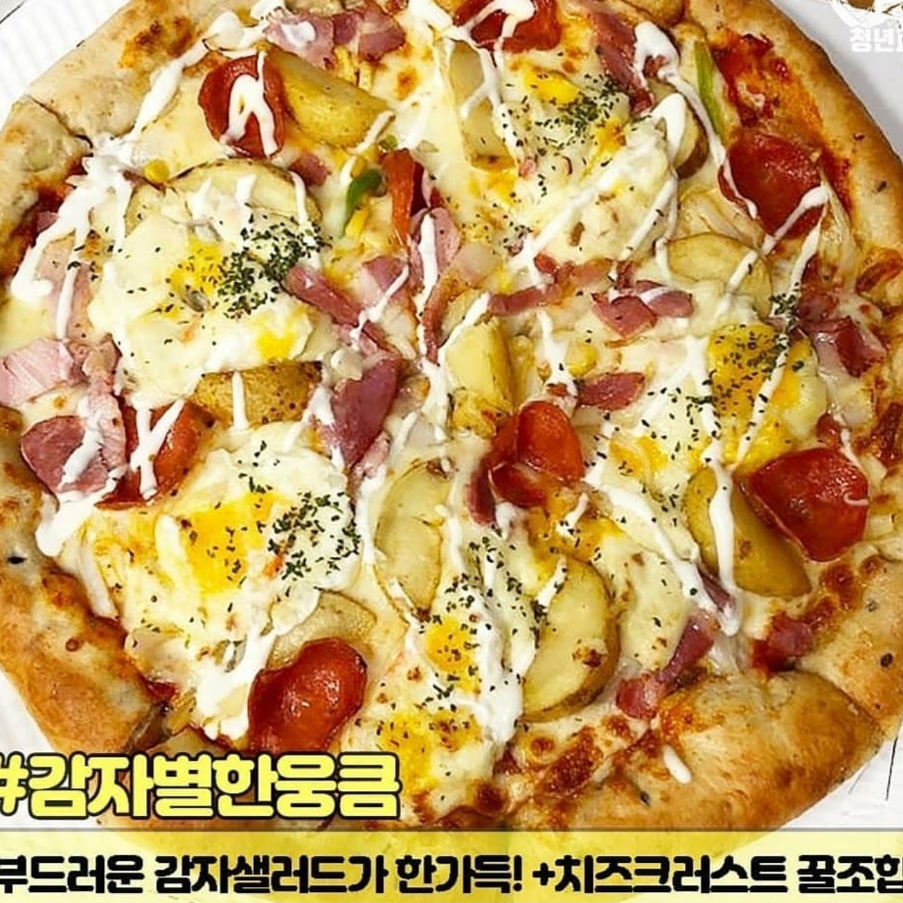 청년피자 담양점