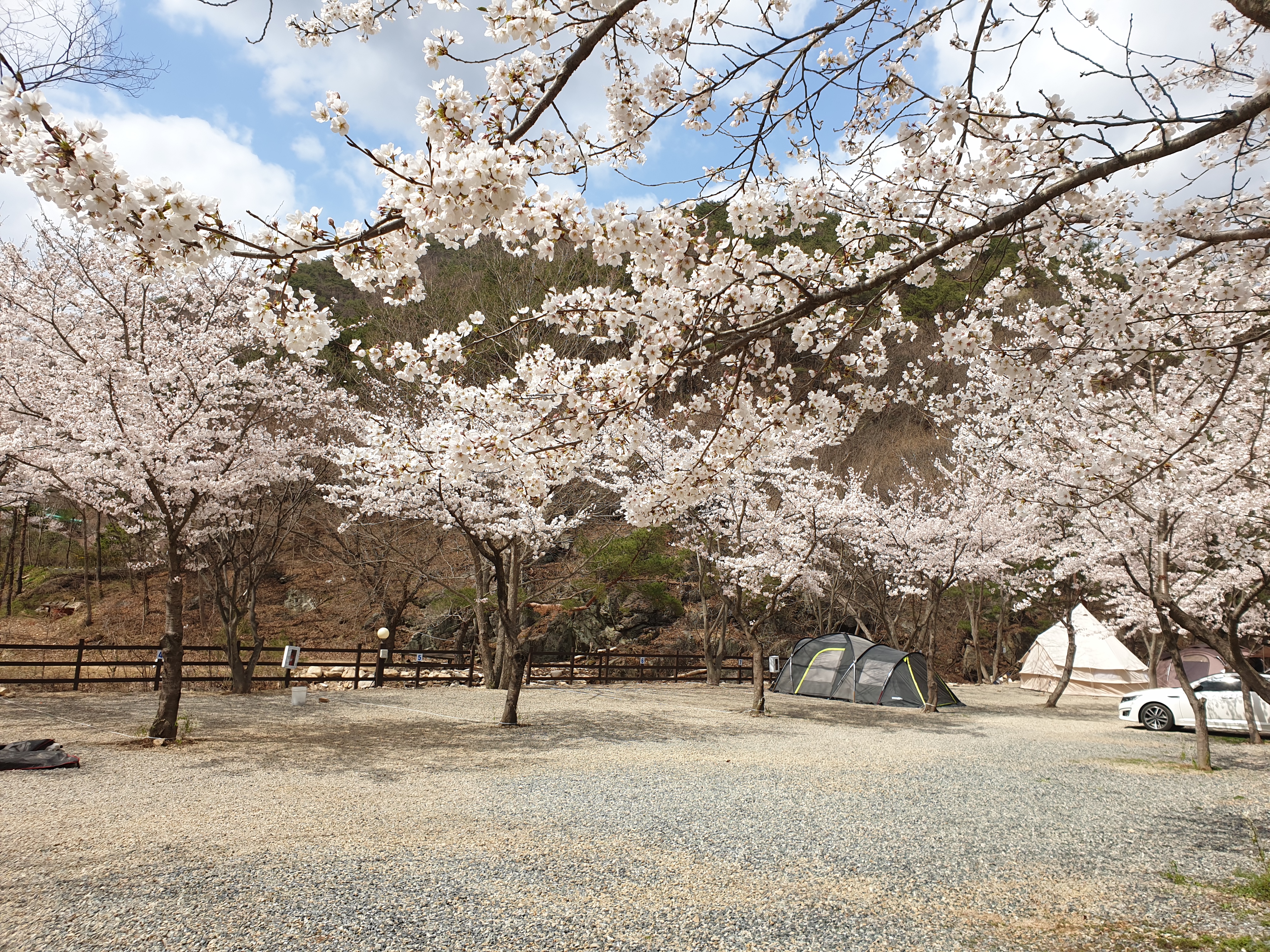 청수가든 캠핑장