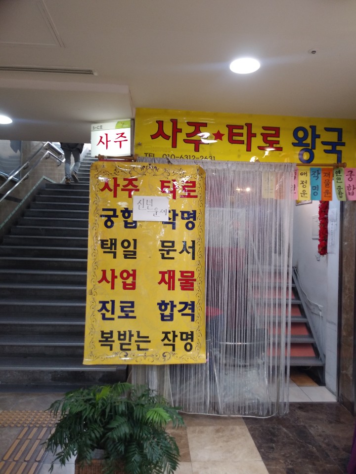 사주타로왕국