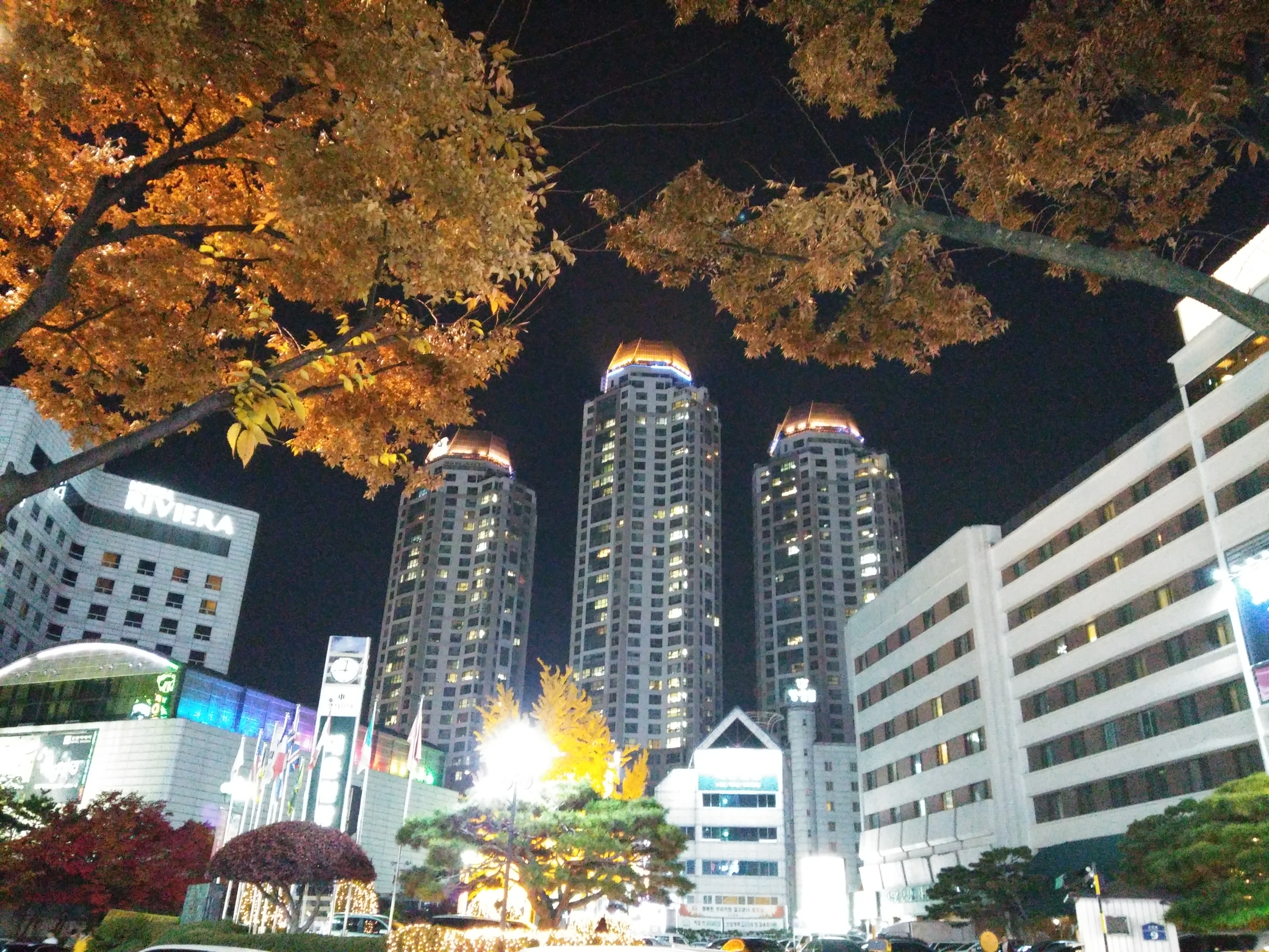 유성땅박사공인중개사사무소