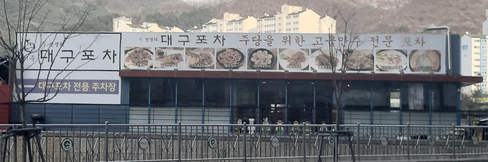 대구포차