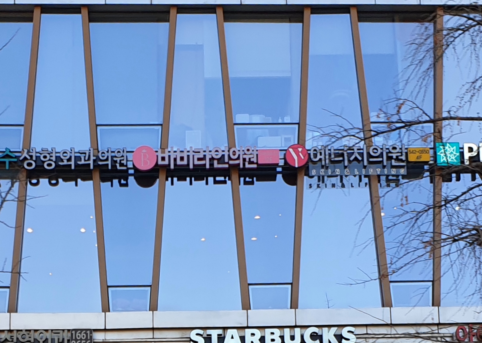 바비라인의원 대표 이미지