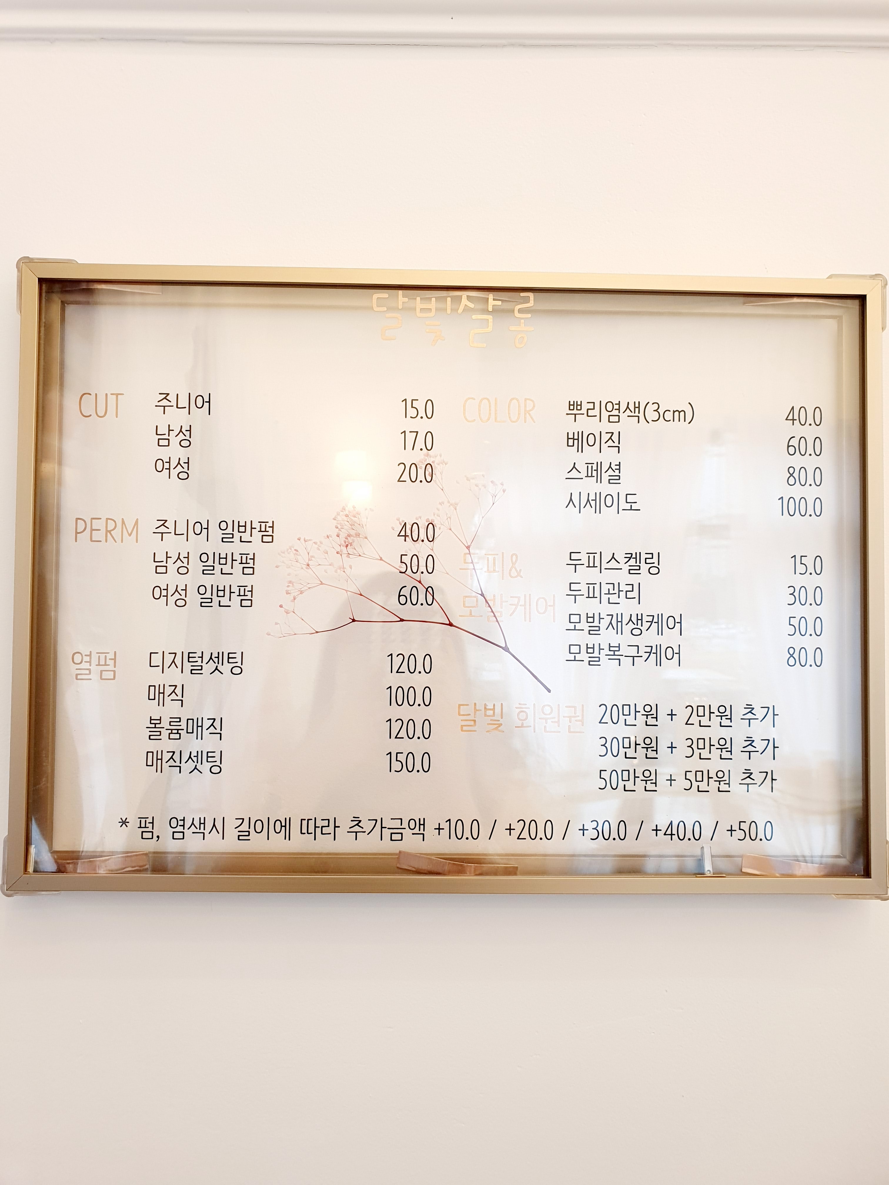 달빛살롱