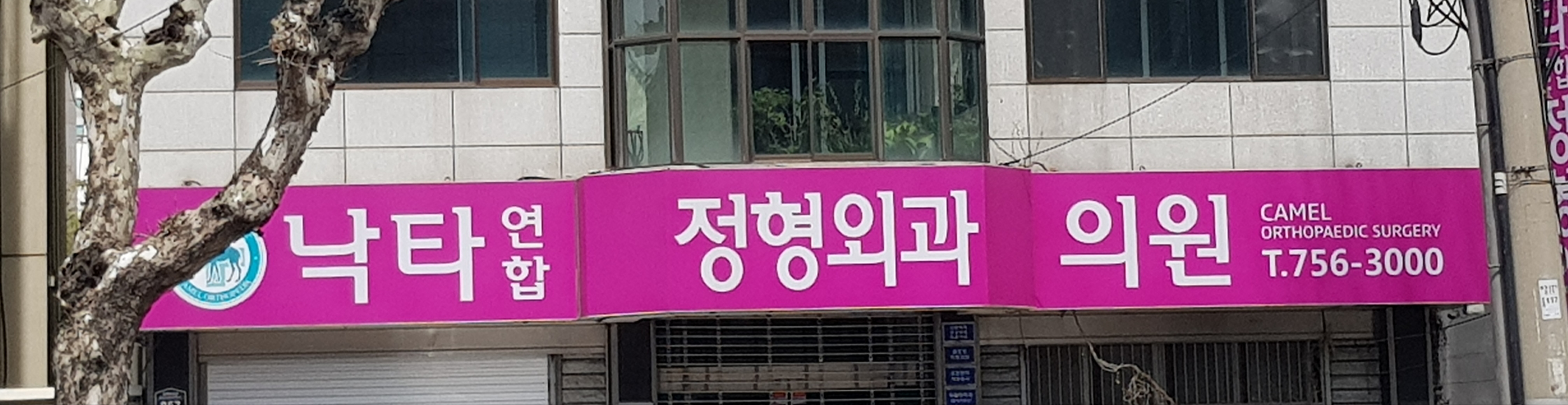 낙타정형외과의원