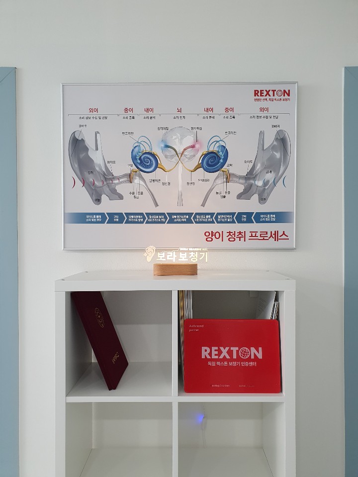 보라보청기 대표 이미지