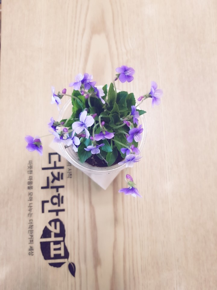 더착한커피 원미구청점