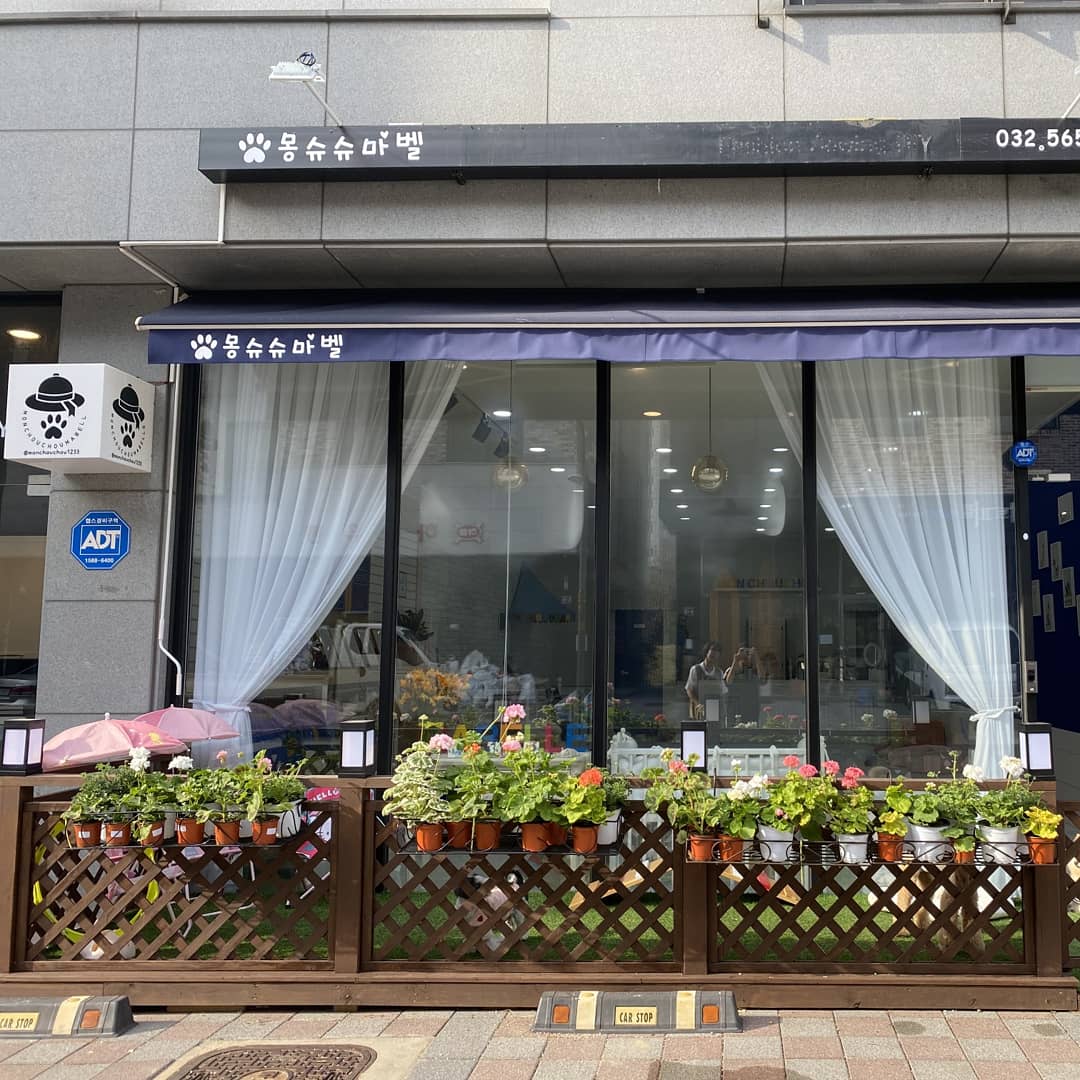 이미지