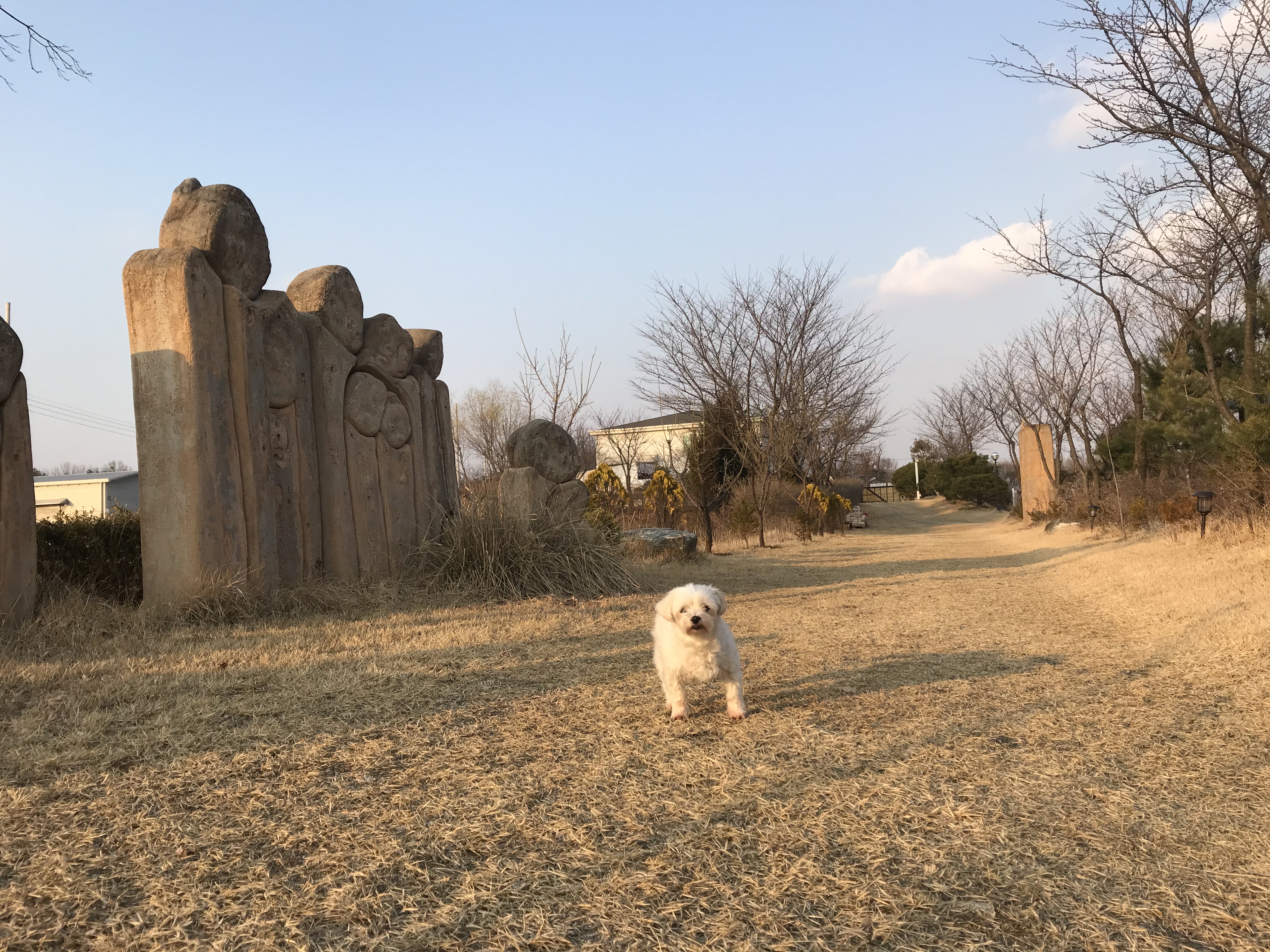 힐링그라운드 대표 이미지