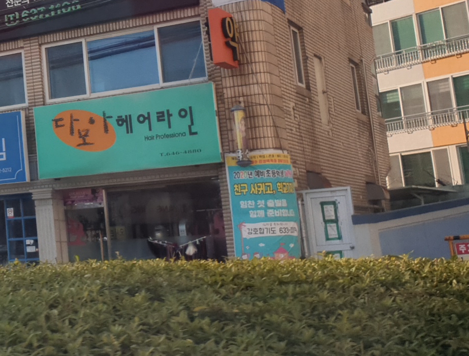 다모아헤어라인