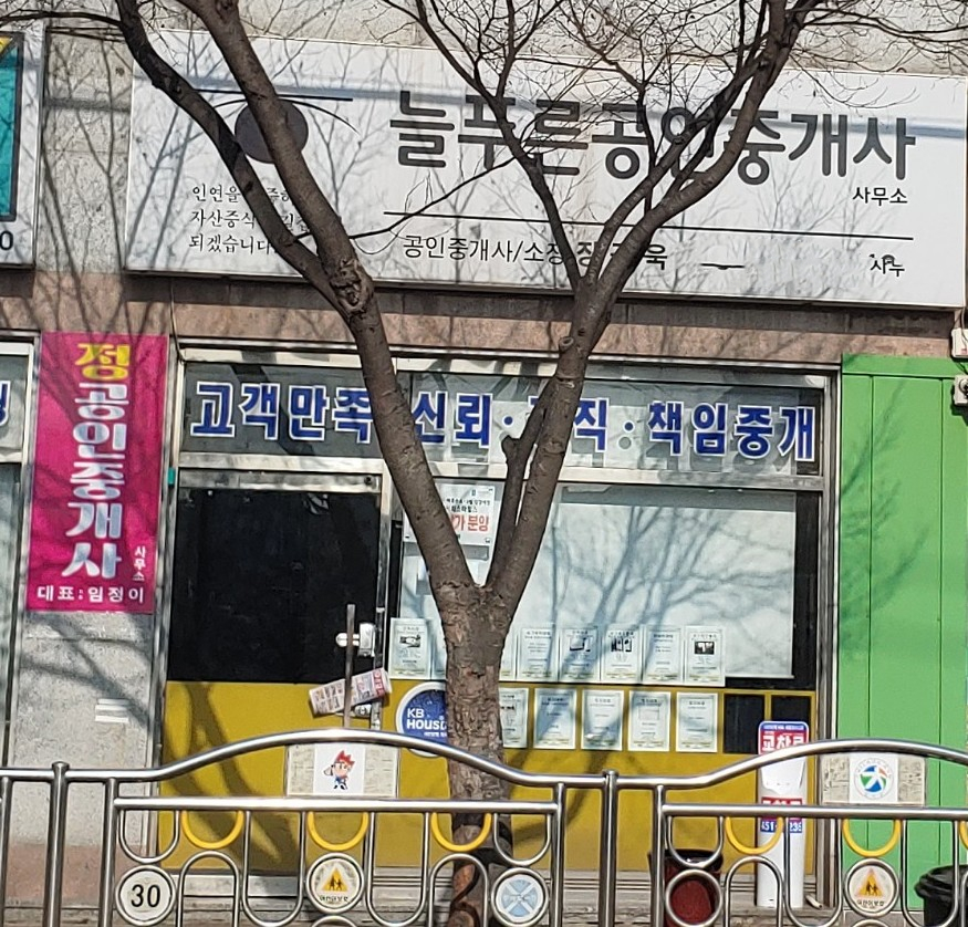 늘푸른공인중개사사무소
